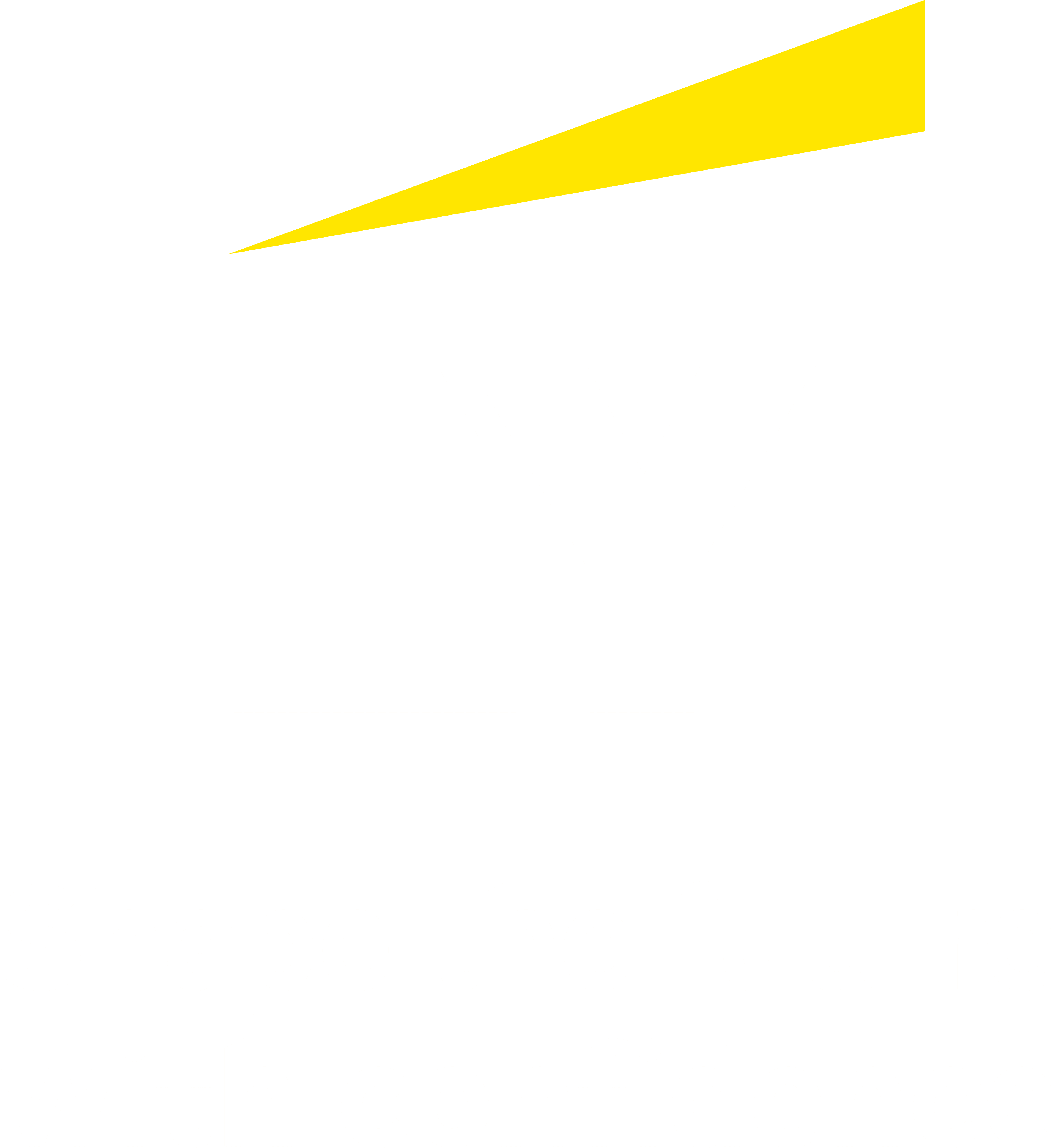logo-EY-wht-large