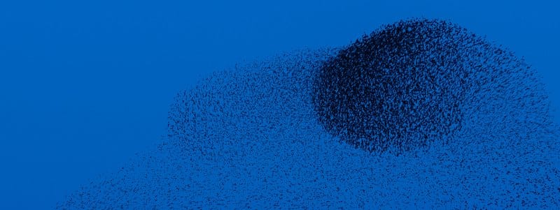 A large, dense murmuration of starlings, appearing as a dark, swirling mass, against a vivid blue sky.